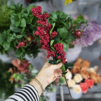 Berry Dalı 1 Dal
