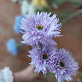 Gerbera Dalı  70 cm 