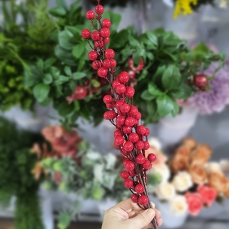 Kokina Dalı  10 lu 1 Dal
