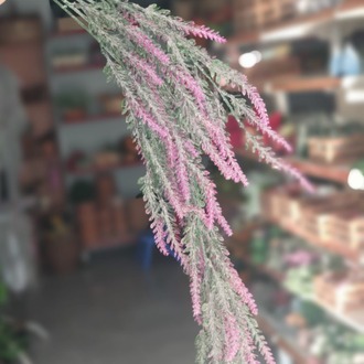 Salkım Lavanta 754 cm 65 çiçekli