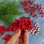 Berry Meyvesi 10 adet