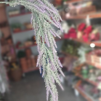 Salkım Lavanta 754 cm 65 çiçekli