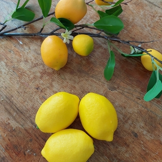 Limon Seti 3 Adet
