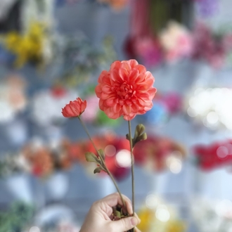 Vintage Yıldız  Çiçeği  1 Dal Dahlia