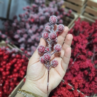 Kokina Dalı Kârlı 10 Adet
