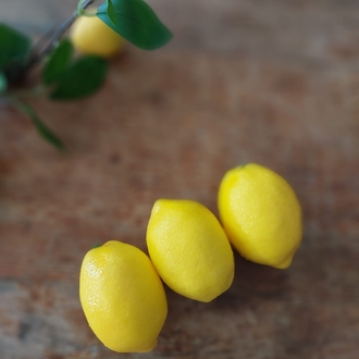 Limon Seti 3 Adet