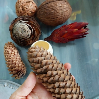 Kurutulmuş  Aparat Seti 2