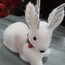 35 cm Beyaz Oturan Ceylan