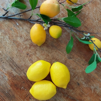 Limon Seti 3 Adet