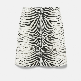 Zebra Etek