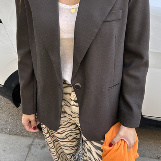 Blazer Ceket