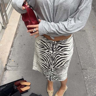 Zebra Etek