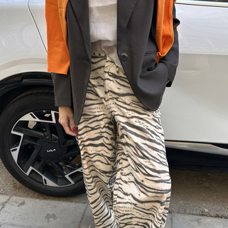 Blazer Ceket