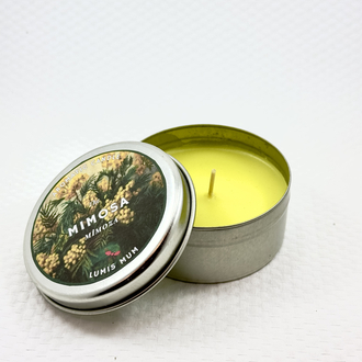 Aroma Terapi Mimoza