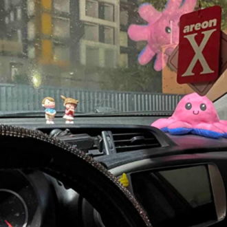 Mod Değiştiren Çift Yüzlü Peluş Ahtapot