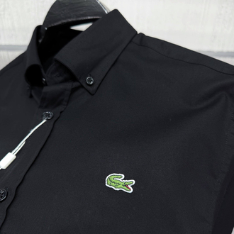 Lacoste Siyah Regular Gömlek