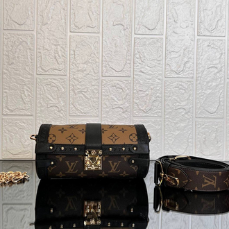 Louis Vuitton Papillon Trunk  