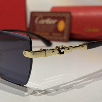 Cartier Güneş Gözlüğü CTR21