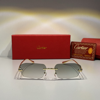 Cartier Güneş Gözlüğü CTR105