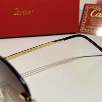 Cartier Unisex Güneş Gözlüğü CTR102