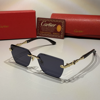 Cartier Güneş Gözlüğü CTR21