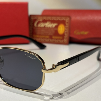 Cartier Erkek Güneş Gözlüğü CTR95