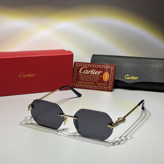 Cartier Güneş Gözlüğü CTR114