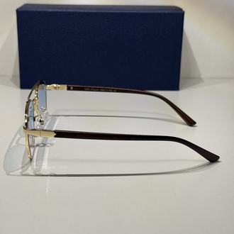 Salvatore Ferragamo Güneş Gözlüğü SF04