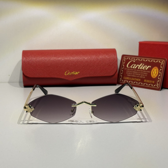 Cartier Güneş Gözlüğü CTR108
