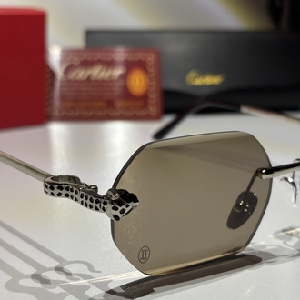 Cartier Güneş Gözlüğü CTR113