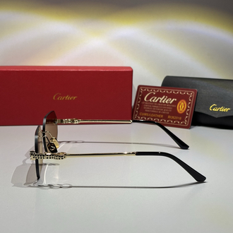 Cartier Güneş Gözlüğü CTR110