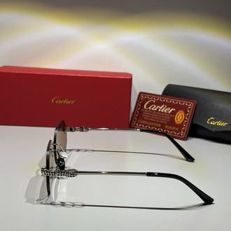 Cartier Güneş Gözlüğü CTR109