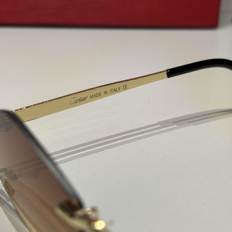 Cartier Unisex Güneş Gözlüğü CTR93