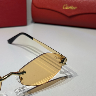 Cartier Unisex Güneş Gözlüğü CTR94