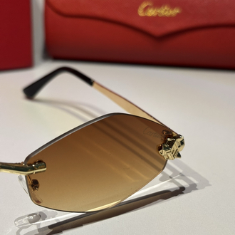 Cartier Unisex Güneş Gözlüğü CTR93