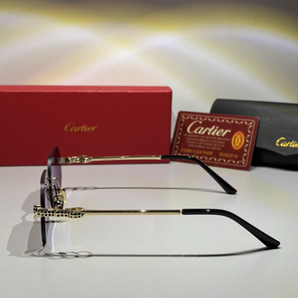 Cartier Güneş Gözlüğü CTR114