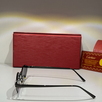 Cartier Unisex Güneş Gözlüğü CTR82