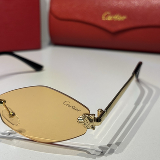 Cartier Unisex Güneş Gözlüğü CTR94