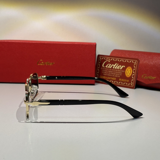 Cartier Erkek Güneş Gözlüğü CTR95