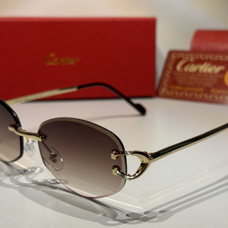 Cartier Unisex Güneş Gözlüğü CTR102