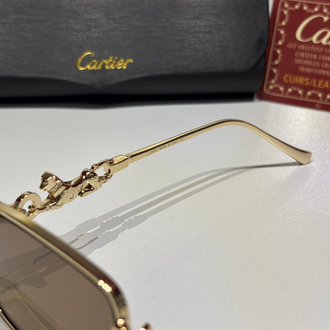 Cartier Güneş Gözlüğü CTR116