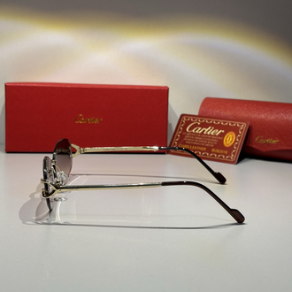 Cartier Unisex Güneş Gözlüğü CTR102