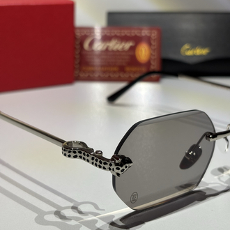 Cartier Güneş Gözlüğü CTR109