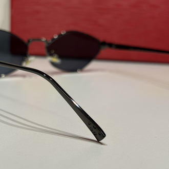 Cartier Unisex Güneş Gözlüğü CTR82