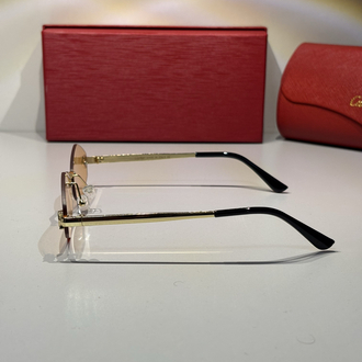 Cartier Unisex Güneş Gözlüğü CTR94