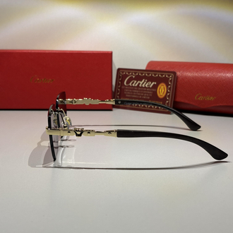 Cartier Güneş Gözlüğü CTR21