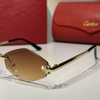 Cartier Unisex Güneş Gözlüğü CTR93