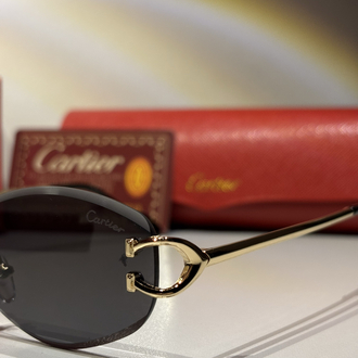 Cartier Güneş Gözlüğü CTR16