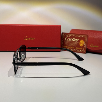 Cartier Erkek Güneş Gözlüğü CTR96