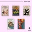 Mahal Edebiyat Öykü Kitaplığı (5 Kitap)